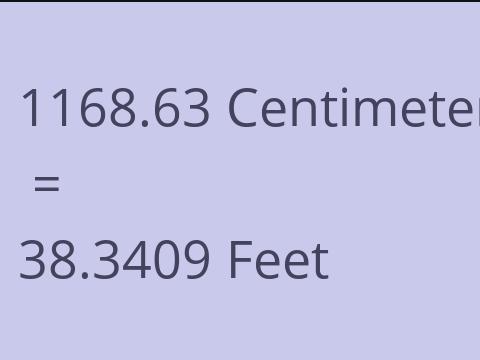 1168.63 CM TO FEET