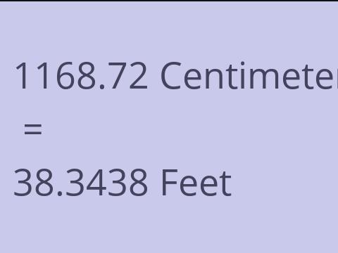 1168.72 CM TO FEET