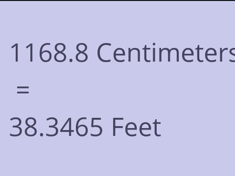 1168.8 CM TO FEET