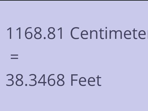 1168.81 CM TO FEET