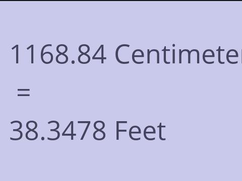 1168.84 CM TO FEET