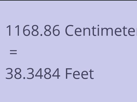 1168.86 CM TO FEET