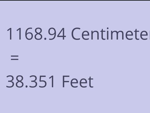 1168.94 CM TO FEET