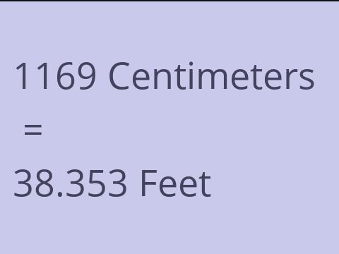 1169 CM TO FEET