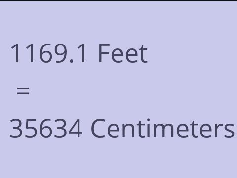 1169.1 FEET TO CM