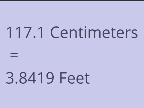 117.1 CM TO FEET