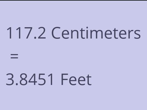 117.2 CM TO FEET