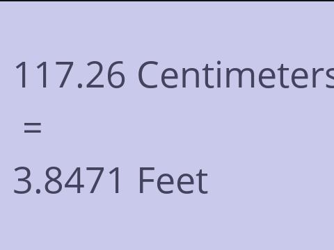 117.26 CM TO FEET