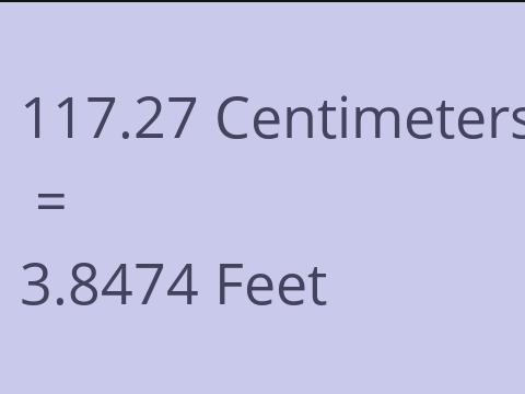 117.27 CM TO FEET