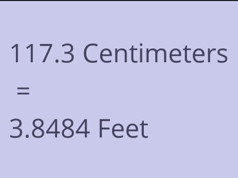 117.3 CM TO FEET