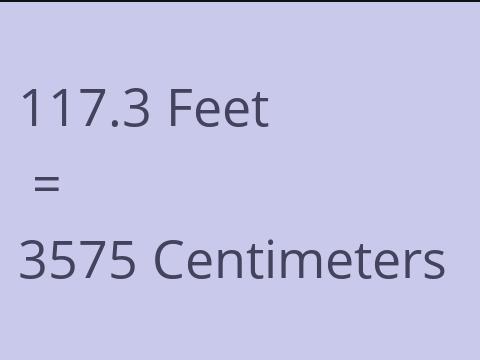 117.3 FEET TO CM