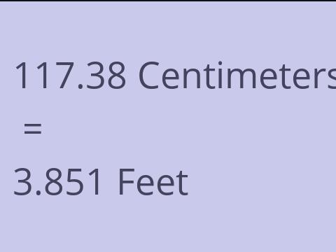 117.38 CM TO FEET