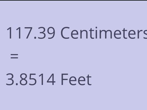 117.39 CM TO FEET