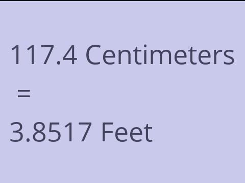 117.4 CM TO FEET