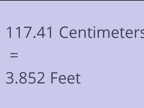 117.41 CM TO FEET