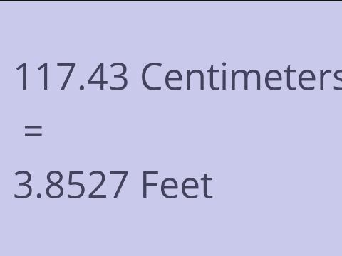 117.43 CM TO FEET