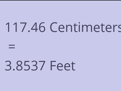 117.46 CM TO FEET