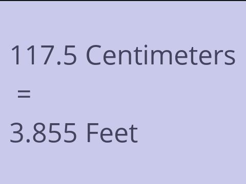 117.5 CM TO FEET