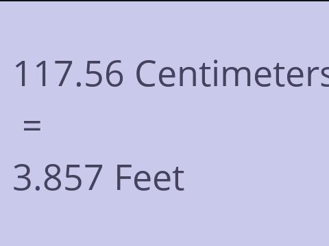 117.56 CM TO FEET