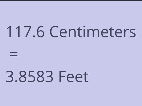 117.6 CM TO FEET