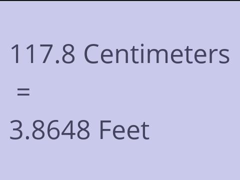 117.8 CM TO FEET