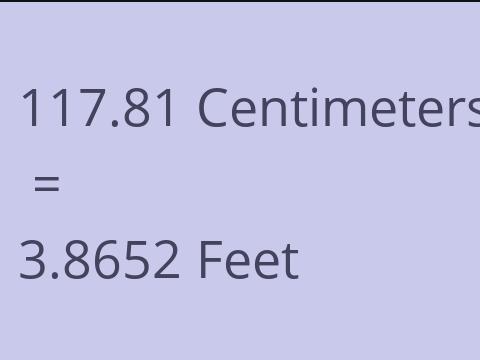 117.81 CM TO FEET