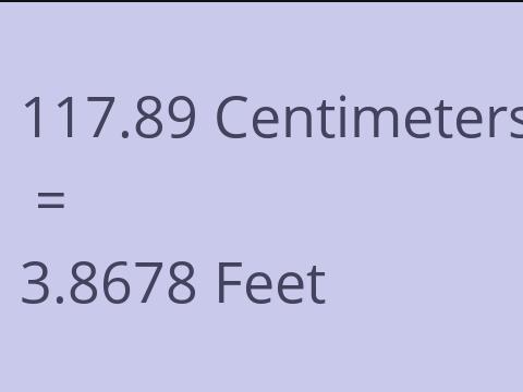 117.89 CM TO FEET