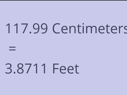 117.99 CM TO FEET