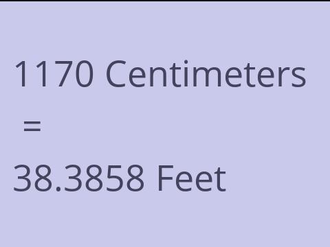 1170 CM TO FEET