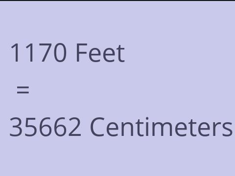 1170 FEET TO CM