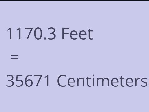 1170.3 FEET TO CM