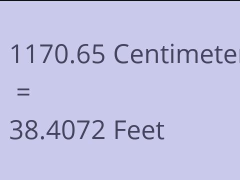 1170.65 CM TO FEET