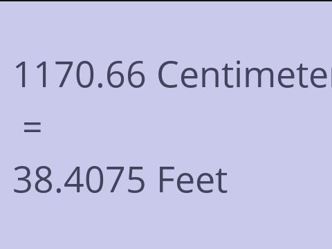 1170.66 CM TO FEET