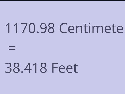 1170.98 CM TO FEET