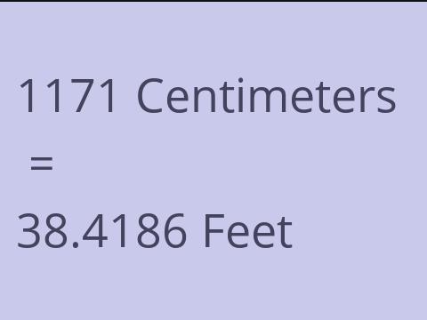 1171 CM TO FEET