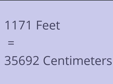 1171 FEET TO CM