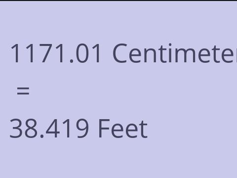 1171.01 CM TO FEET