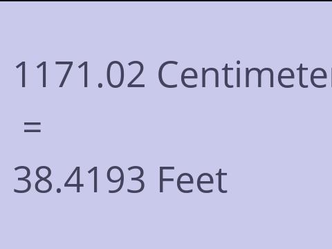 1171.02 CM TO FEET