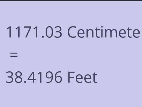 1171.03 CM TO FEET