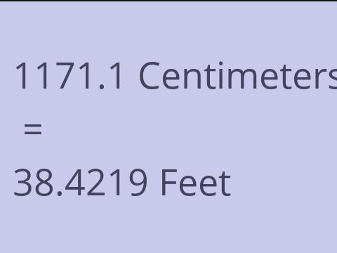 1171.1 CM TO FEET