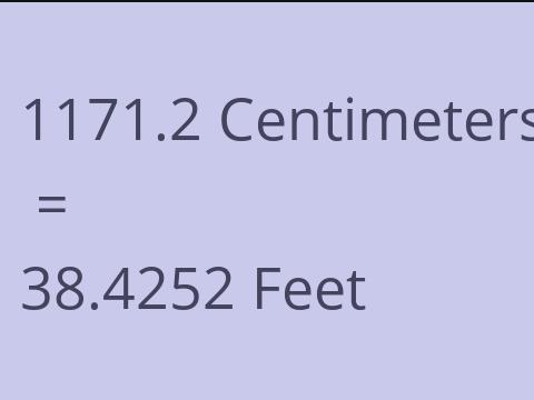 1171.2 CM TO FEET