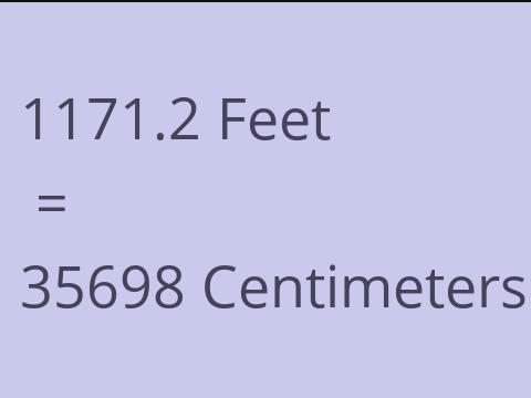 1171.2 FEET TO CM