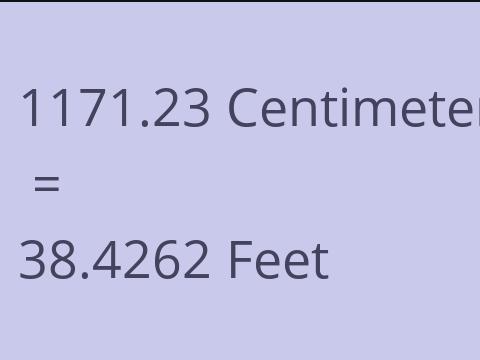 1171.23 CM TO FEET