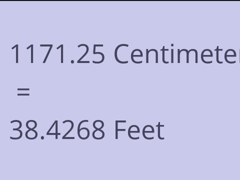 1171.25 CM TO FEET