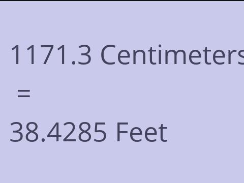 1171.3 CM TO FEET