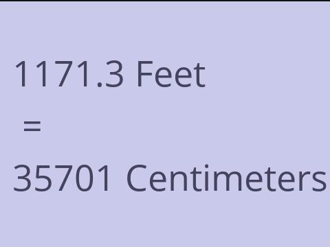 1171.3 FEET TO CM