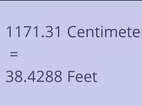 1171.31 CM TO FEET