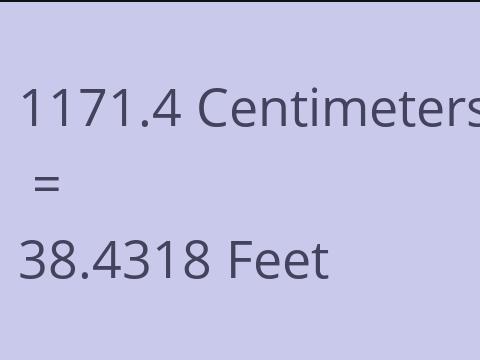 1171.4 CM TO FEET