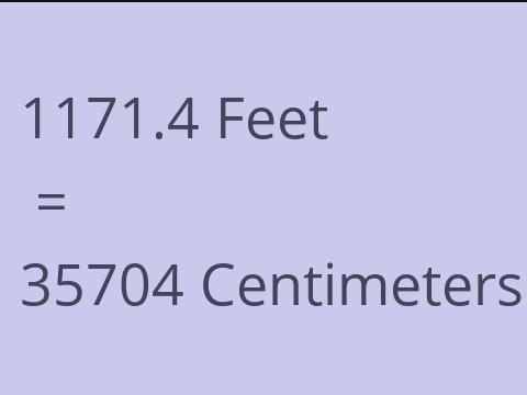 1171.4 FEET TO CM