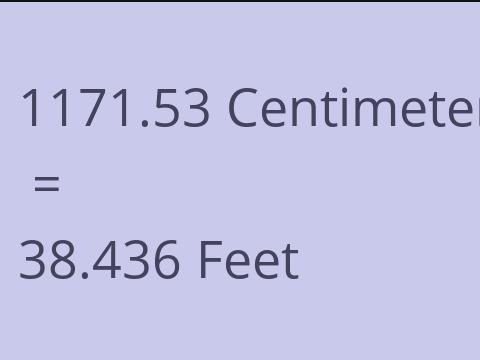 1171.53 CM TO FEET